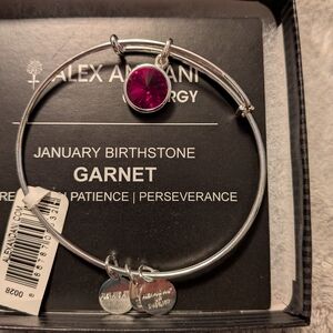 Alex and Ani January Birthstone Charm Bangle-Garnet